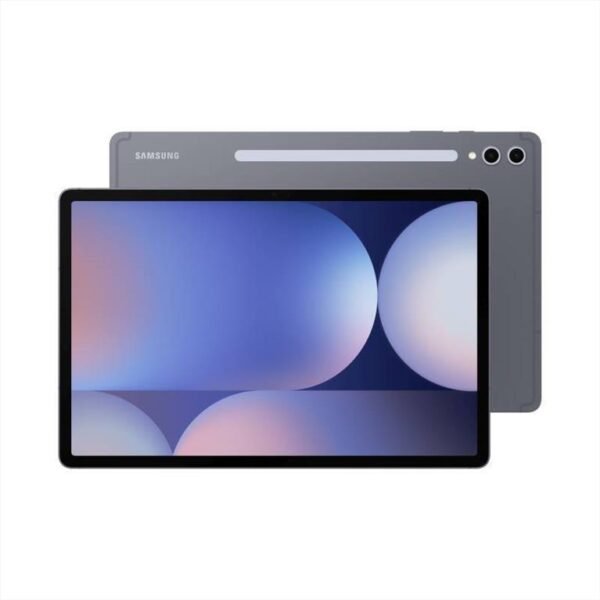 Samsung Galaxy Tab S10+ 12.4" WiFi & 5G 12GB/256GB Moonstone Gray EU (SM-X826)