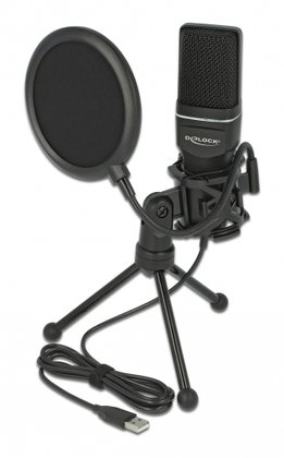 DELOCK Mικρόφωνο studio με pop φίλτρο & αντιανέμιο 66331, πυκνωτικό, USB