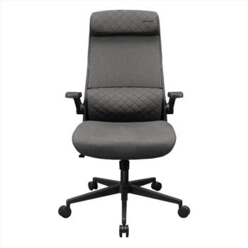 COUGAR Stryder Gaming/Office Chair, 1M8CGR Fabric, Gray